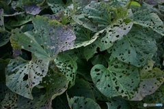 C9E27896-750B-473D-938C-0FDAEF66408D