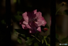 6C4A9BF3-64E8-442F-98E4-B2AB525F799D