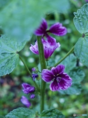 7BDB7587-01C0-4ABE-9B78-FF4CC2EC9851