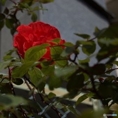 205A0E22-442C-4BD9-BEBA-4A0D8ECB76EB