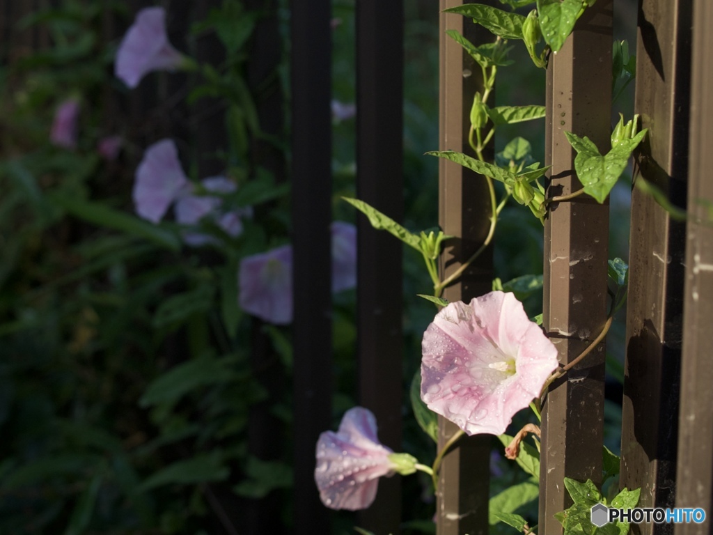 6E005253-B43F-49B9-8D92-F34882EB51CF