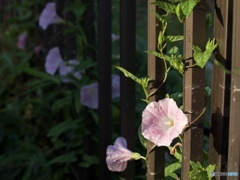 6E005253-B43F-49B9-8D92-F34882EB51CF