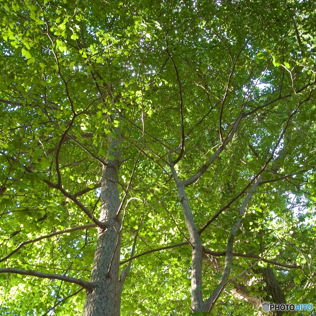 CFC0870A-0F6F-4A36-A210-9EE53B31DACB