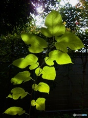 31EFD165-E091-4706-AB0B-4CF9F05FB44E