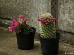 00CF7971-EB7D-4FA9-A047-D1654DA566C3