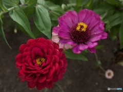 9A02544E-62FD-434F-8A57-69DADC31E5BC