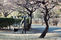 A2659CD1-7BA3-41A2-9251-9B189A9DD959