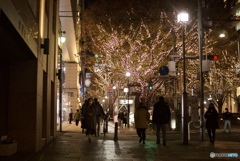 8C9362BC-A301-4A13-B6D6-BD89D536069A