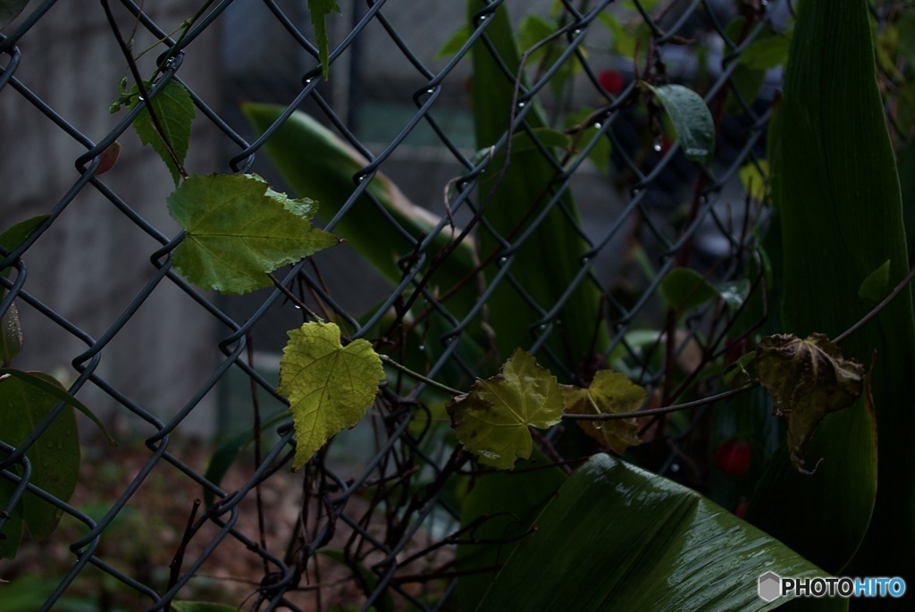 4303E76E-11F5-4768-B48E-82264CEBB73F