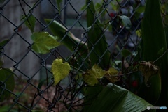 4303E76E-11F5-4768-B48E-82264CEBB73F