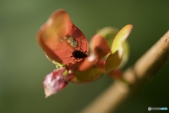 C1437A8D-F428-4680-9F3A-1953C725C7DB