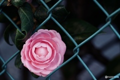 2A56A7FD-852D-4268-8471-D2E13DCE504F