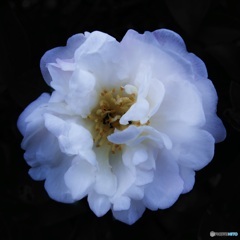 59FE2D57-BDFB-44DD-983D-DC549FB18194