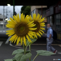 C90CFC58-F423-497D-90CA-BFEB484EA033