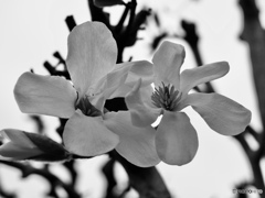 F9855196-6F08-401D-898A-3B3279636AAB