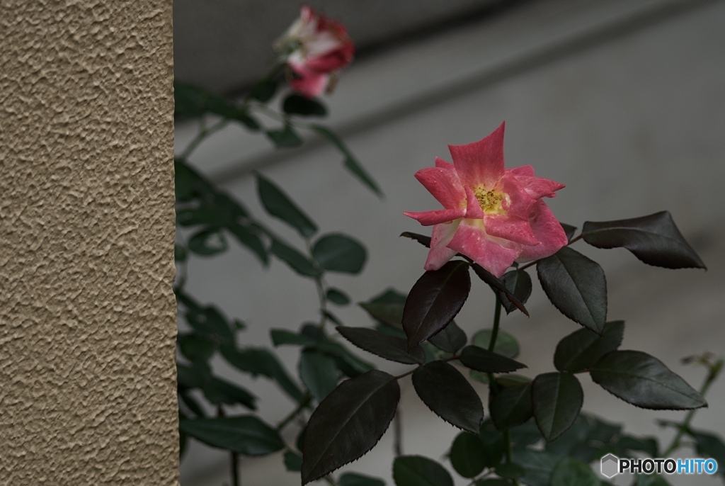 632B45C0-B64F-4A80-A756-421683182D62