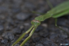 74873AFD-75C4-4DB5-972B-BC37BB157556