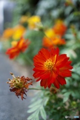 AE8F8A31-4558-42DD-97CC-78BF953F7C11