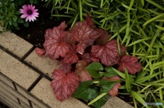 DE28360D-2D5C-44F8-852C-F81FB55846D4