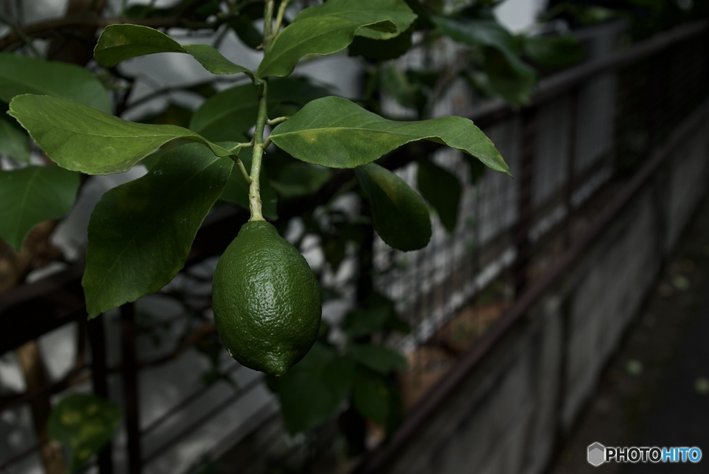 1F349CC6-3EC8-4CF1-B5C6-806D755E6C6F