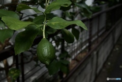 1F349CC6-3EC8-4CF1-B5C6-806D755E6C6F