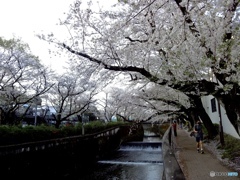 A8F78B0B-BD32-4BAA-9D23-8C3FE663485C