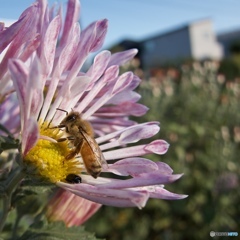 FE122F19-4E49-4FBC-A8B2-CCD791B8F52D