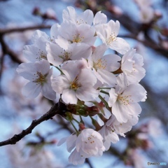 C4E9F40E-E477-45EF-A06D-C36F6A02C6BB
