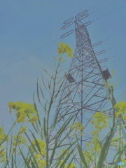 68B509F7-2292-4E37-B19A-40E0037C83C0