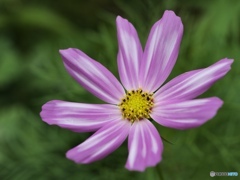 C79F3044-8B2F-4AAE-8DDE-21B8D72E3F91