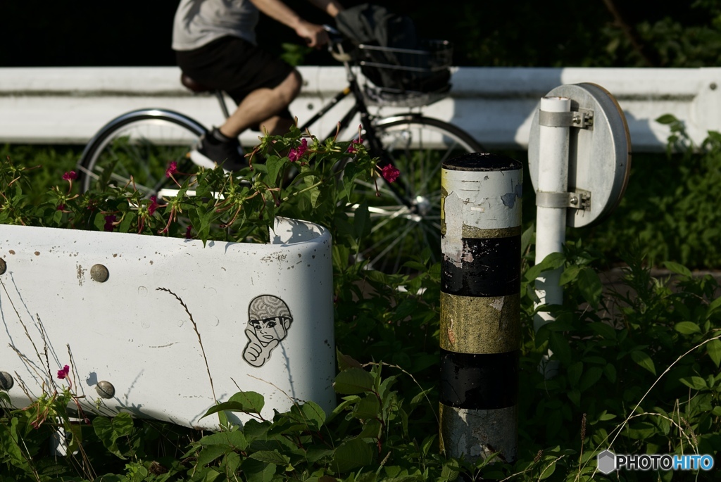 CC4BC3A7-1B91-4259-8B12-29F4BC8E16D6