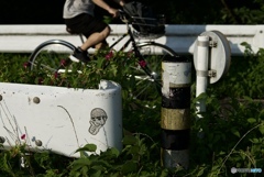 CC4BC3A7-1B91-4259-8B12-29F4BC8E16D6