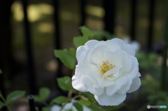 A7F262CA-B8E1-4FB3-9838-7C3B04859379