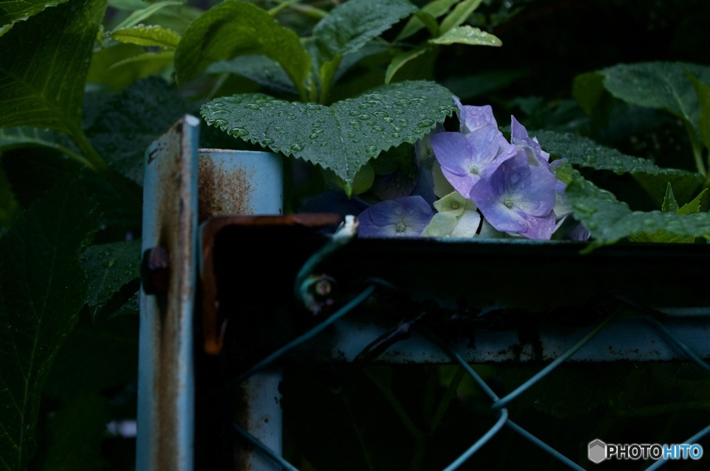 8FF955C4-9C90-419F-B4A9-DFBA8475A8E0