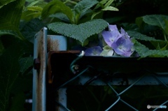 8FF955C4-9C90-419F-B4A9-DFBA8475A8E0