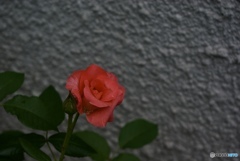 8CE565B3-2FE6-4006-9CEB-1F44DB47C6B4