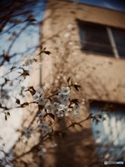 8792DDEB-6489-4E35-884F-DD290FF592D4