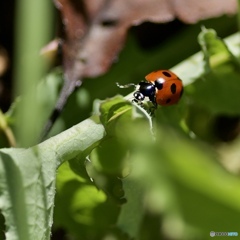 453053DA-4219-45B7-B37C-C9138A4E8038