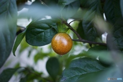 F0932787-41F0-44E3-AEAF-D1F65EB46565