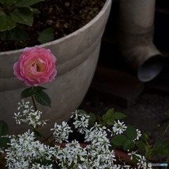 28121604-E04F-4B41-A0CF-E2E8F2E22BC4