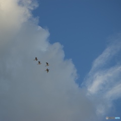 8585A2D8-7741-4537-A9F0-EA859625A1A8