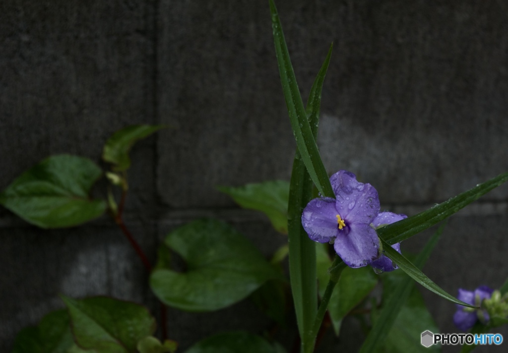 7D39C377-F93D-4CF5-9769-A9C7293E03D0