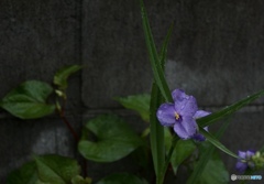 7D39C377-F93D-4CF5-9769-A9C7293E03D0