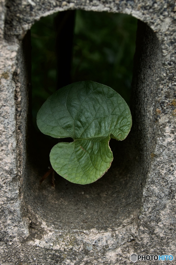 2159E36E-66DC-49A8-A6F9-68CFD0C740E8