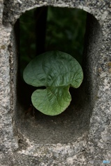 2159E36E-66DC-49A8-A6F9-68CFD0C740E8