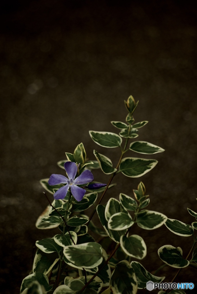 194A078A-78AA-4F47-A395-DAB775367520