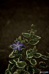 194A078A-78AA-4F47-A395-DAB775367520