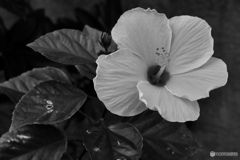 941CF02B-3DCC-4AFA-82DA-435953C393BF