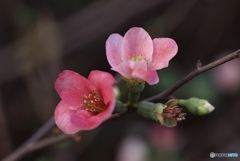 B756329E-A0D9-4B5A-B9CB-A64F8B9C1A8A