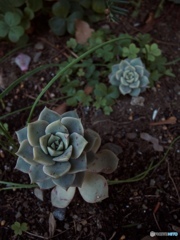 CAA90995-EBAB-4D7D-8B1A-57D518D42FC1